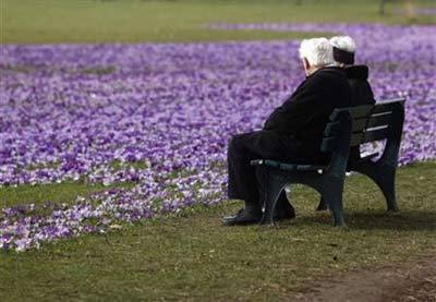 An elderly couple sit on a bench next crocus flowers in a park in Duesseldorf in this March 17, 2010 file photo
