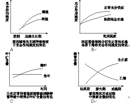 考试大纲导读