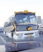 �鳵ʻ��˱�ɽ