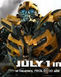 Ʒ(Bumblebee)