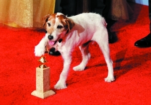 Uggie