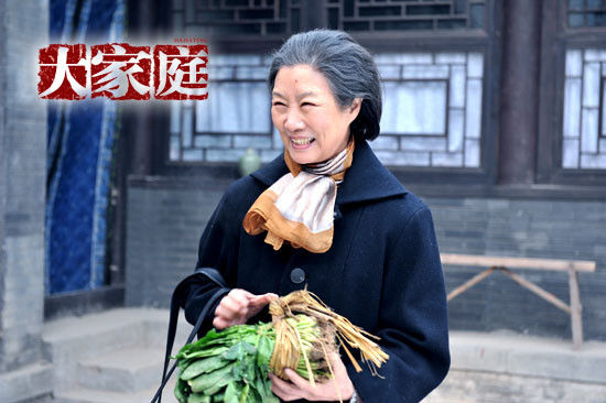 《大家庭》八月开播八家地面火力全开