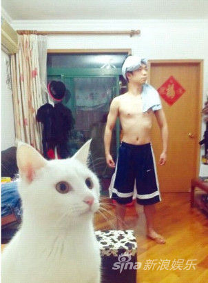 《少年派》越战越勇 票房零跌幅