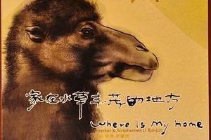 27届东京电影节公布片单 李睿珺新作入围