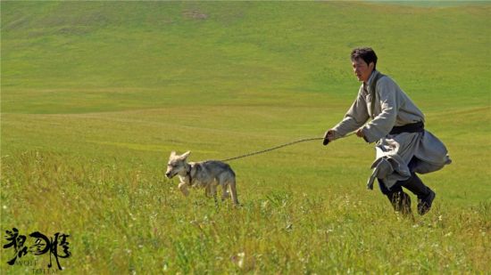 冯绍峰和小狼奔驰在草原上