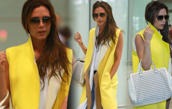 ��ɩά�����ǵ־� ��ɫ��������������