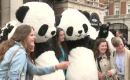 panda in london