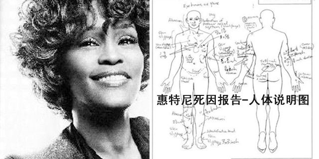 �������������򱨸棺ԡ��������������