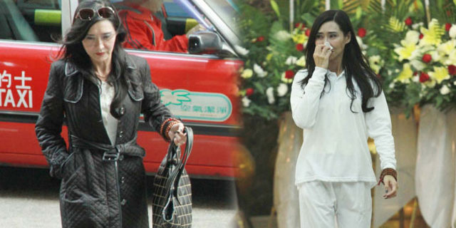 ʵ��Ҷ����ֻ�����۲μ�ĸ��ɥ��