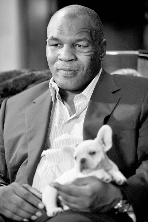 拳王泰森约架甄子丹 问中国谁最强被调戏|泰森