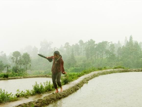 推荐苗圃主演的电影《樱桃》一部感人泪下的浓