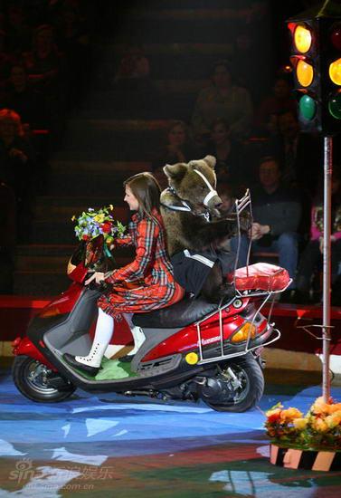 资料图片:俄罗斯莫斯科大马戏团演出照(146)