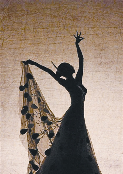 《云南映象》武汉演出 杨丽萍孔雀最后一舞(图)_影音娱乐_新浪网