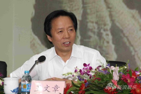 文化部副部长王文章