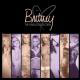 Britney SpearsThe Singles Collection