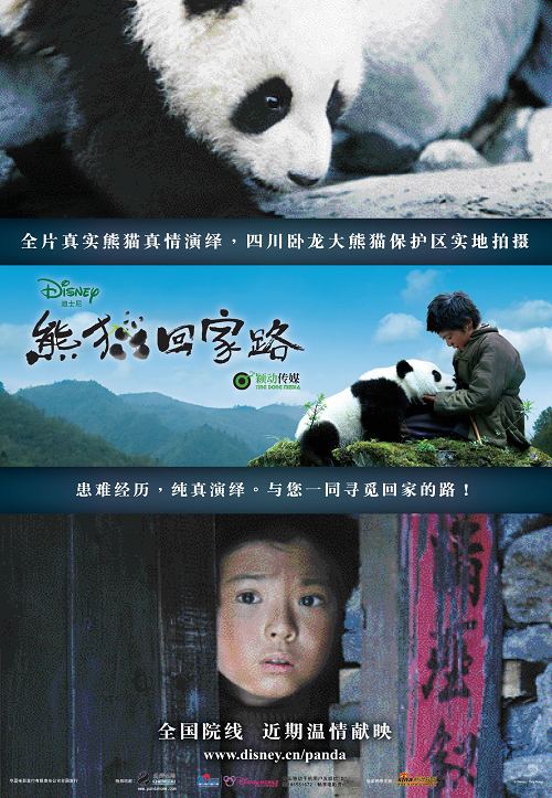 《熊猫回家路》拍摄背景与花絮(组图)