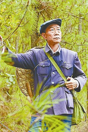 《杨善洲》平实风格获好评 李雪健被赞"附体"