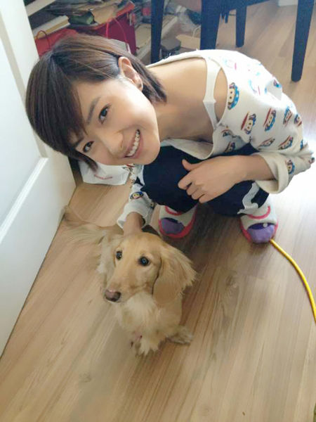 万茜公益微电影结缘流浪动物_影音娱乐_新浪网