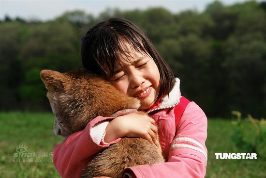 《柴犬奇迹物语》首映礼 片中小狗成主角(图)