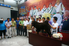 ������༪����ӳ��ϯ�α���ǰ��Ӱ(��ͼ)