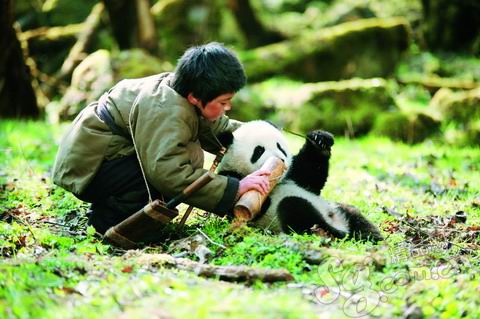 《熊猫回家路》：“熊猫控”们有福了！