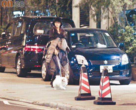 熊黛林见郭富城狗不离身 爱犬见证恋情开花