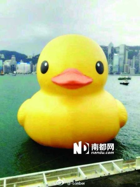 大黄鸭游香港 嫩模披浴巾合影遭驱逐|曾宝玲|黄