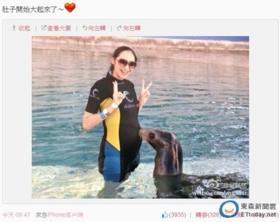 吴佩慈与海狮戏水
