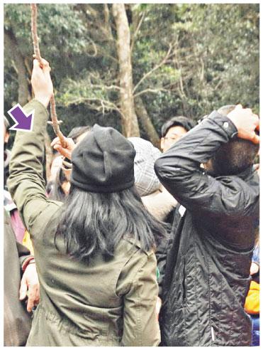 钟楚红否认移民传闻自称没有追求者(组图)