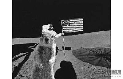 “抢镜”松鼠走红网络 奥巴马英女皇都被抢风头