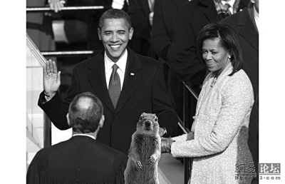 “抢镜”松鼠走红网络 奥巴马英女皇都被抢风头