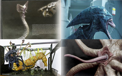 �ӡ���������˹�������εĵ���(ͼ)