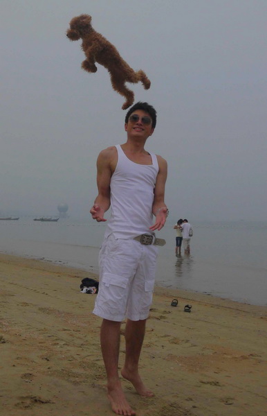 �������ġ����衷������Ƭ��ˣ���޹�(ͼ)