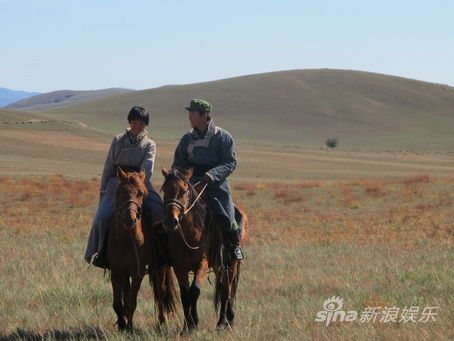 ���ϵ�����