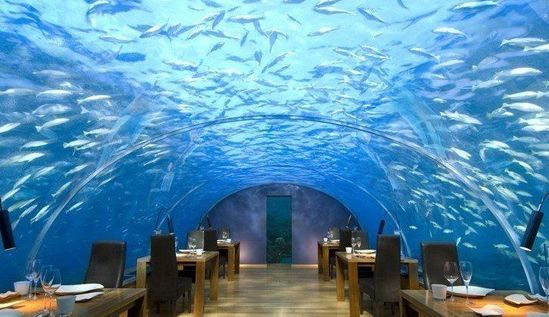 򣬺ײ(Ithaa Undersea Restaurant)