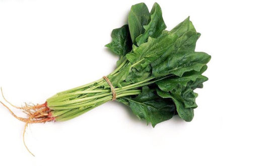 菠菜