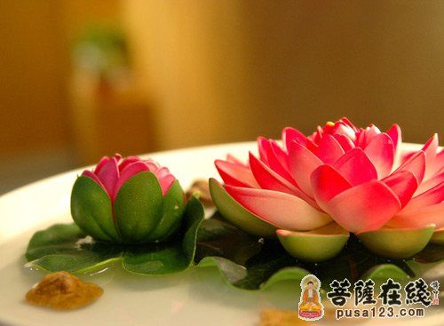 皈依三宝的十益