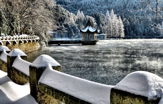 《题僧院》赏析