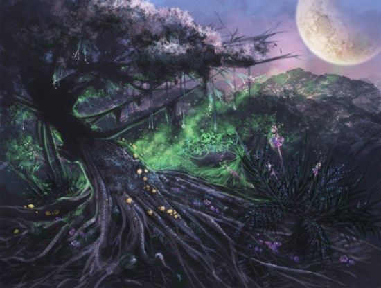 MuseGames曹之昊谈《奇幻森林》研发_产业服务_新浪游戏_新浪网