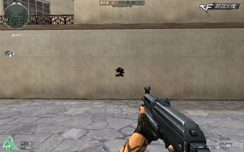 PP19野牛弹道演示