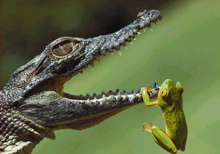 ��Щ���䰸�� ������Ϸ���̵�����˲��