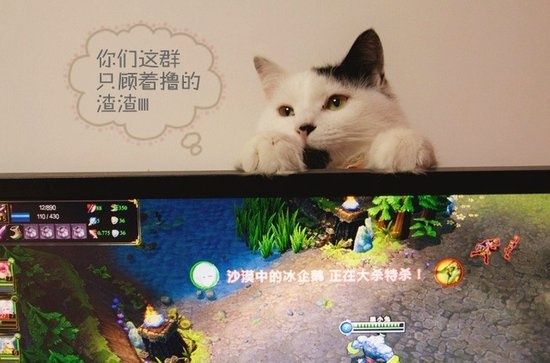 戏也爱小宠物 那些有爱的宅男<em>腐女_网络游戏</em>_