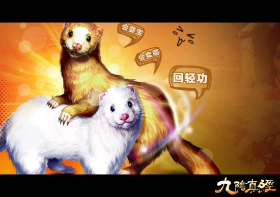 灵物貂