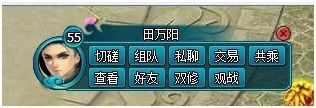 ˫