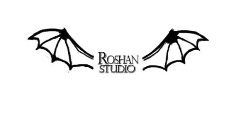 ROUSHAN STUDIO
