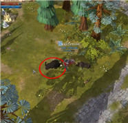 《Albion Online》