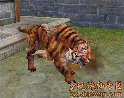 展示大全也已经更新了此宠物,如需对比飞天白虎与战地猛虎18星区别