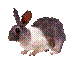 ħ��