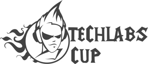 Techlabs Cup