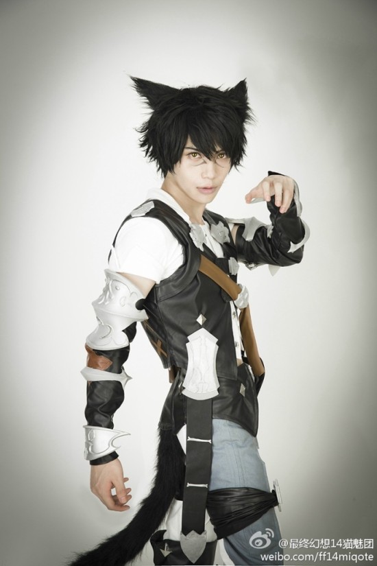 �������� FF14�ٷ�è����С��è�����ͼ